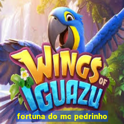 fortuna do mc pedrinho